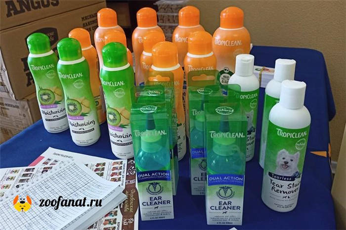 Shampoo set