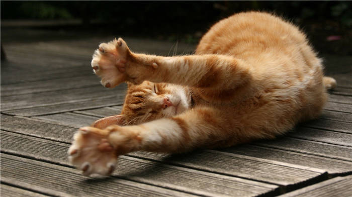 Anti-scratchers