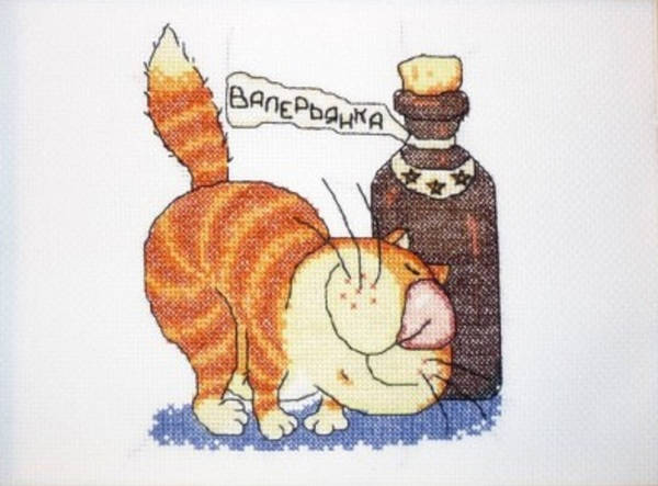On the harm of valerian for cats and cats. Cat, Valerian, Harm, Drugs, Warning, Longpost
